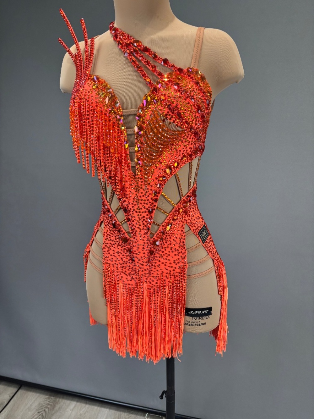 Latin Ballroom Dress
